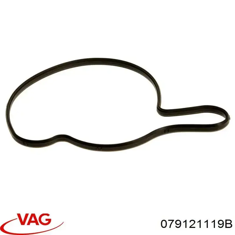 079121119B VAG Vedante de bomba de água