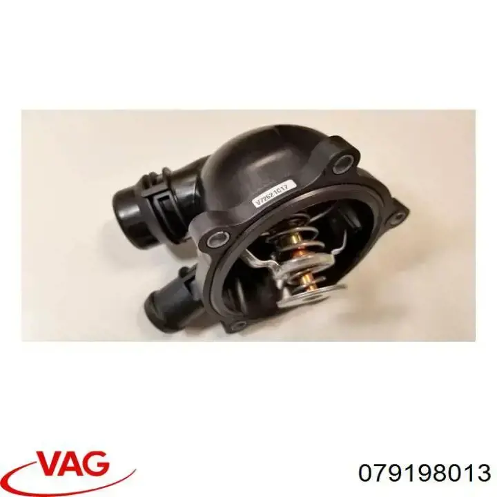 Compre 079198013 VAG 