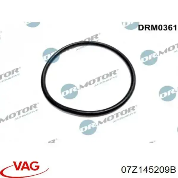 Compre 07Z145209B VAG Bomba de combustível de tandem direita