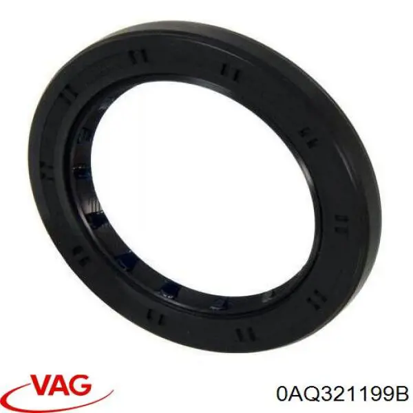 0AQ321199B VAG 