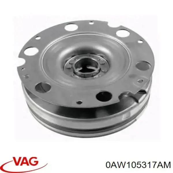 0AW105317AM VAG 