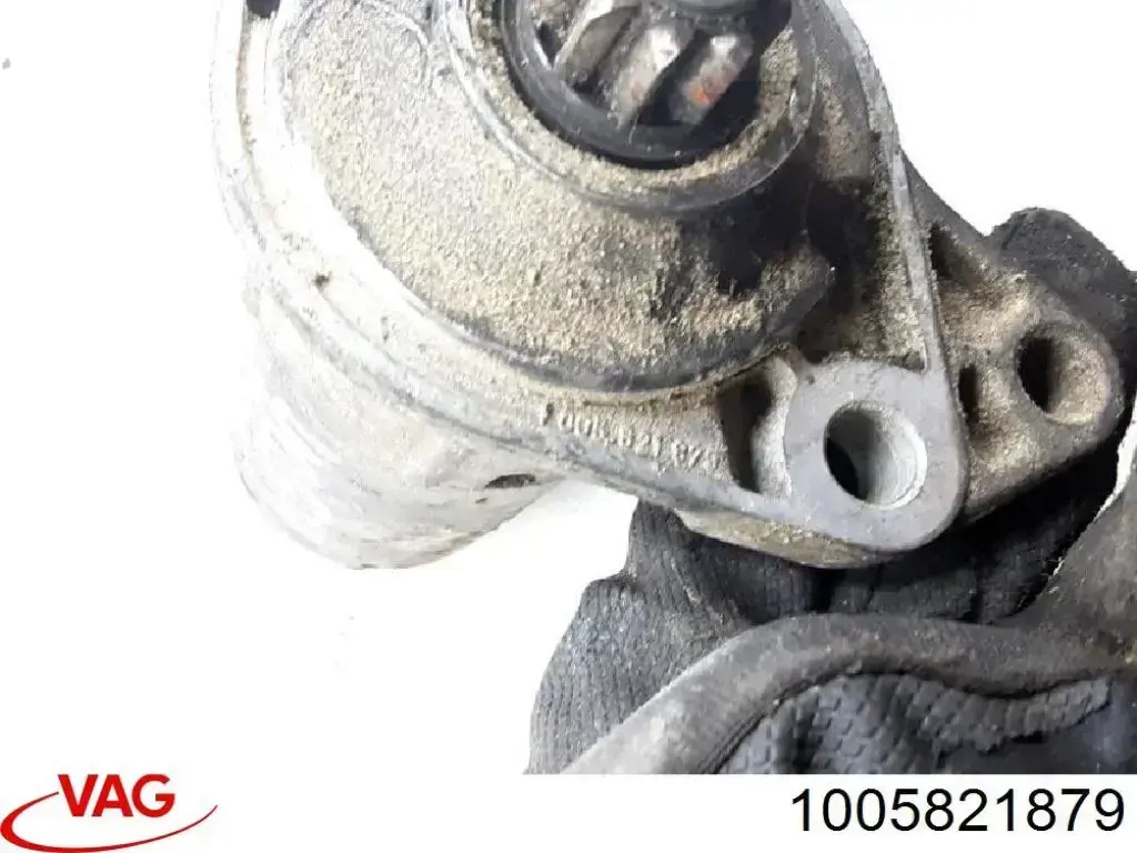 Compre 1005821879 VAG 