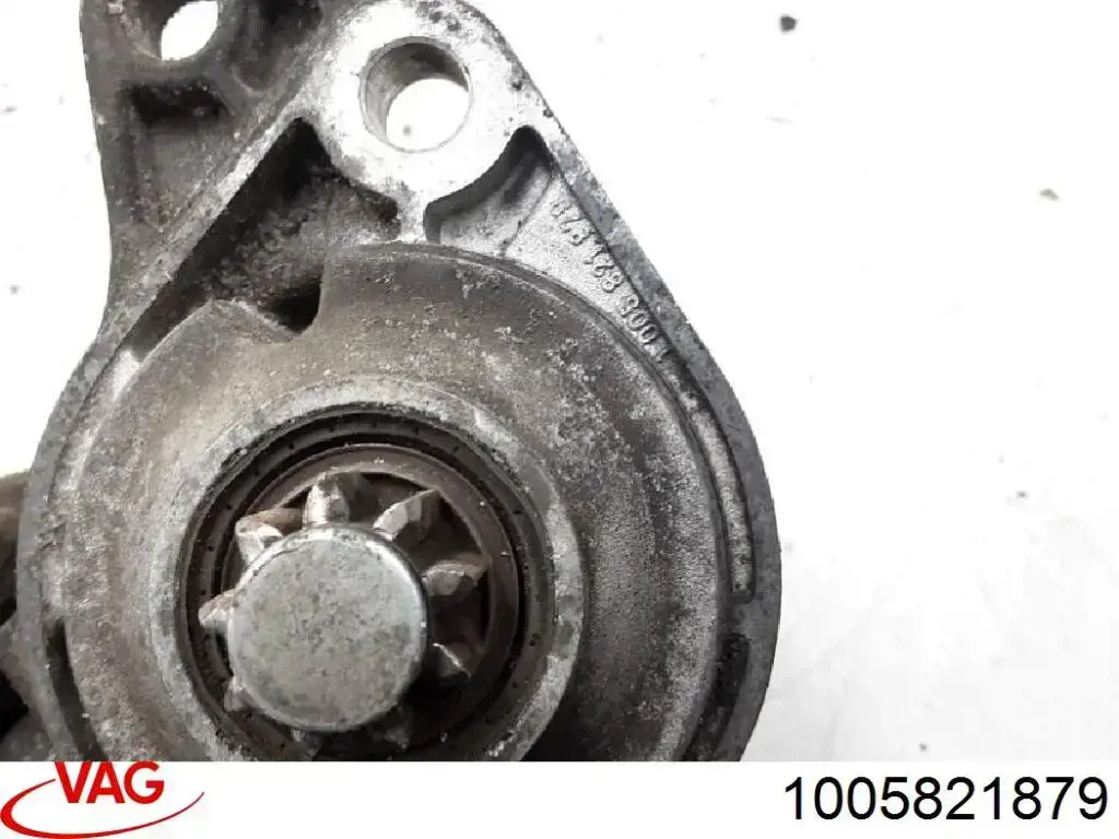  VAG 1005821879