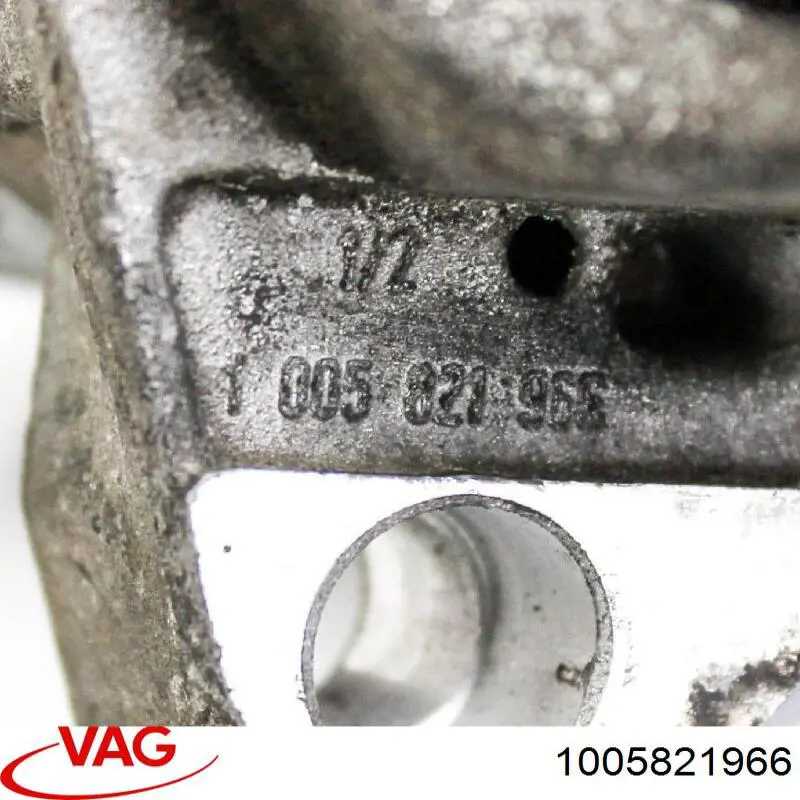 1005821966 VAG 