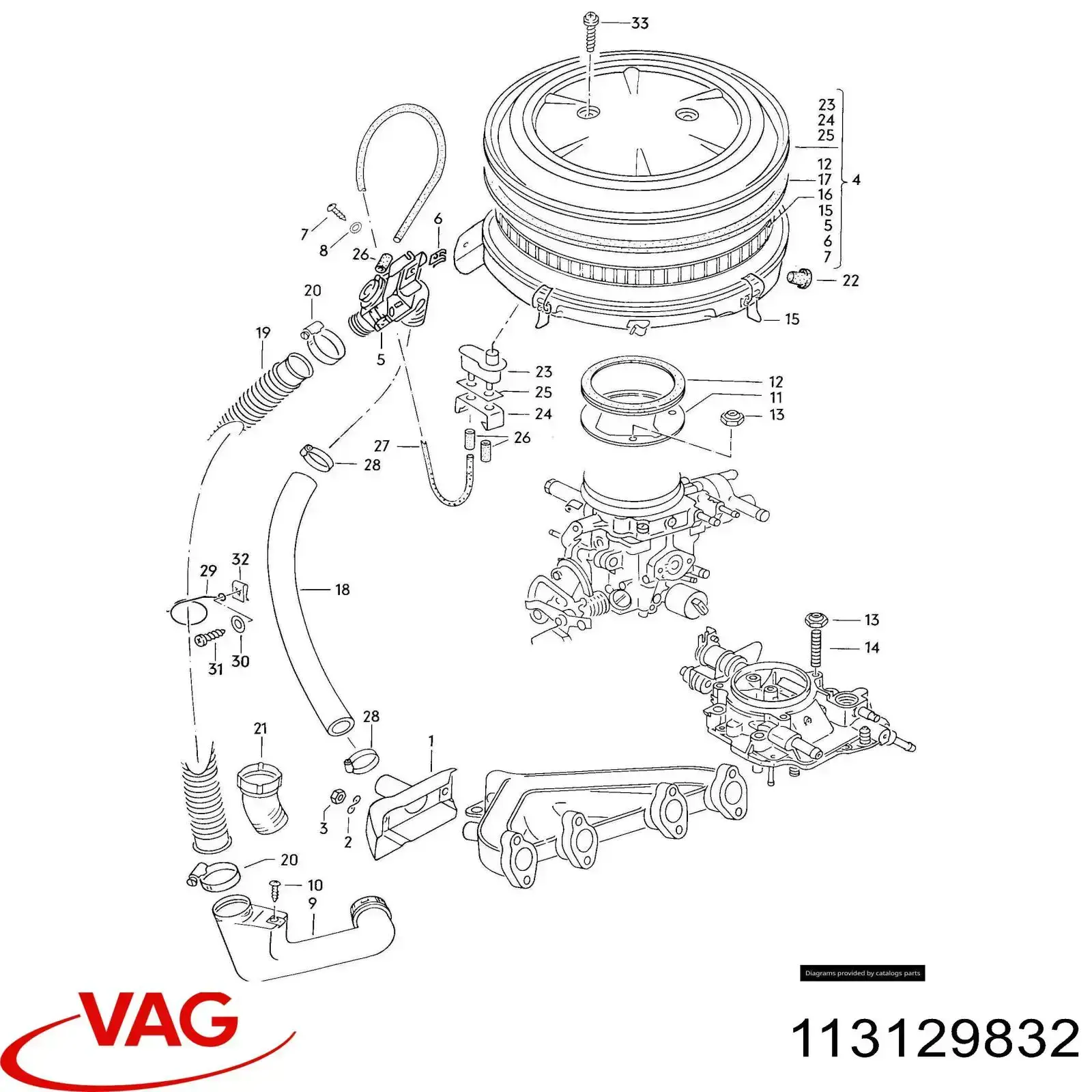113129832 VAG 