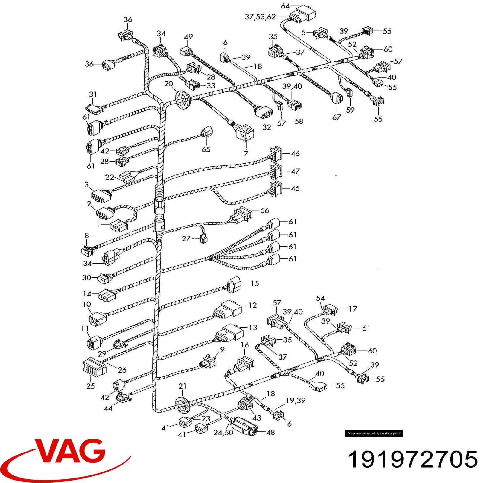 191972705 VAG 