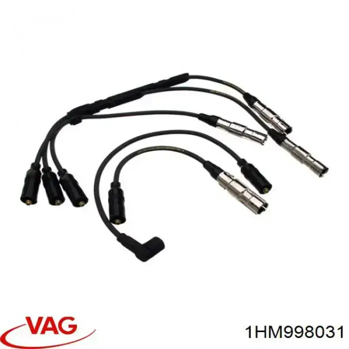 1HM998031 VAG 