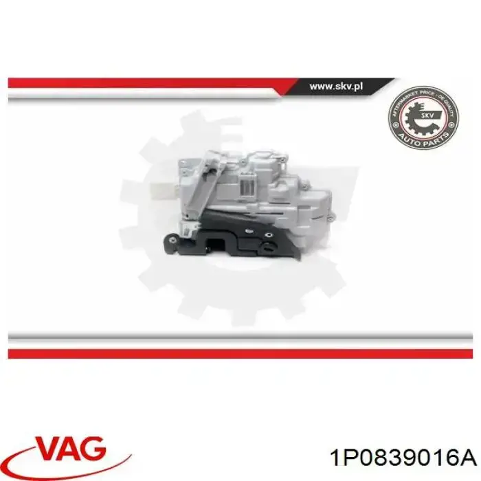 Compre 1P0839016A VAG Fecho da porta traseira direita
