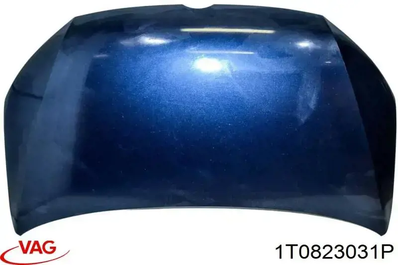 1T0823031P VAG Capota