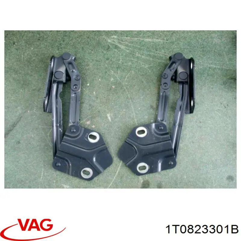 1T0823301B VAG Gozno da capota esquerdo