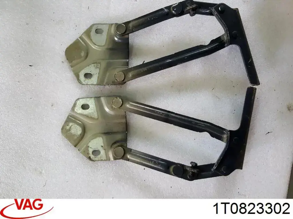 1T0823302 VAG Gozno da capota direito