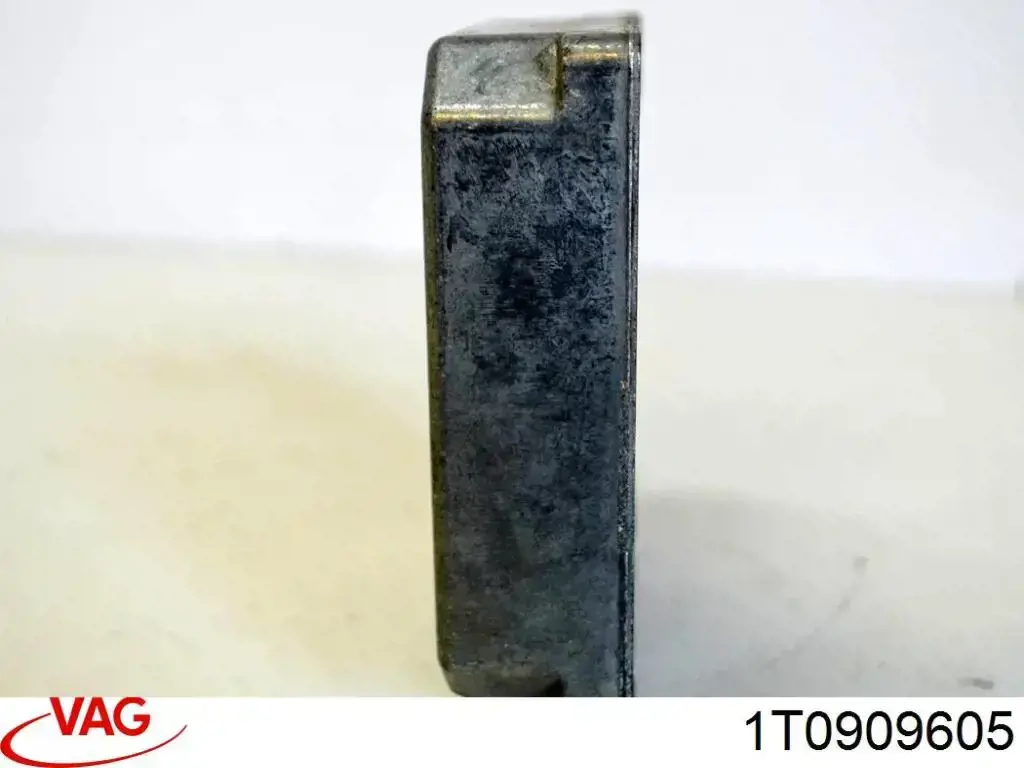 1T0909605 VAG 
