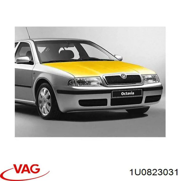 Compre 1U0823031 VAG Capota