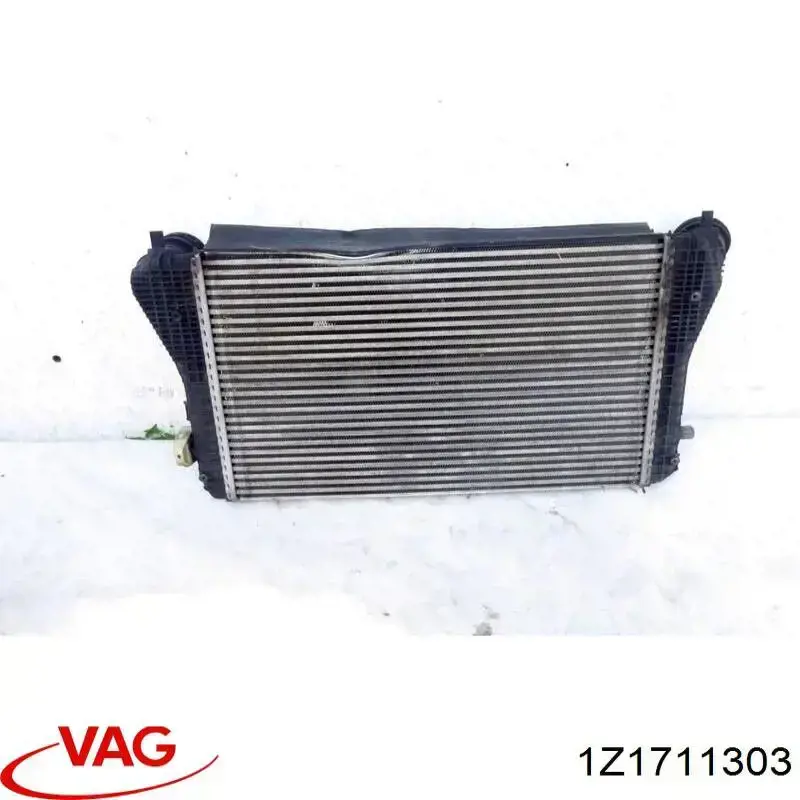  VAG 1Z1711303