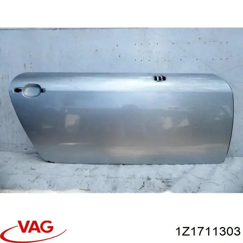 1Z1711303 VAG 
