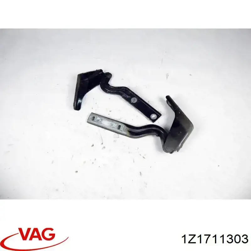 1Z1711303 VAG 