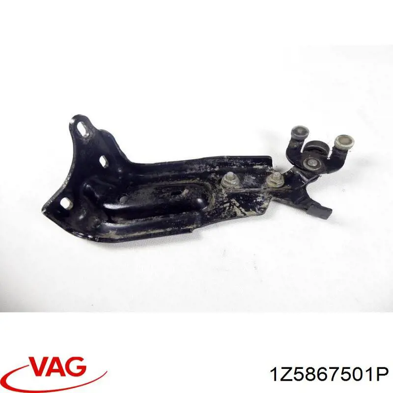 Compre 1Z5867501P VAG Revestimento do teto