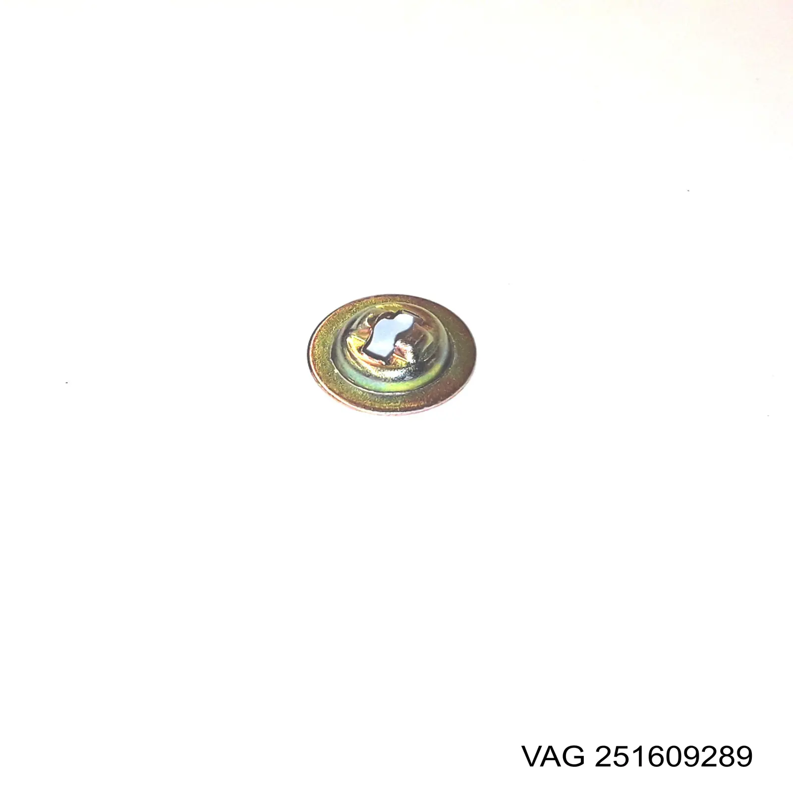 251609289 VAG 