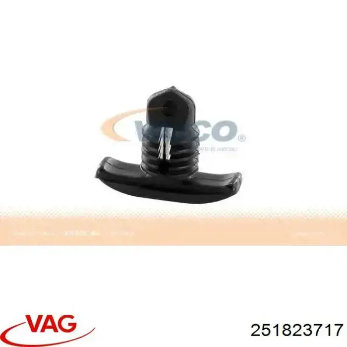 251823717 VAG 