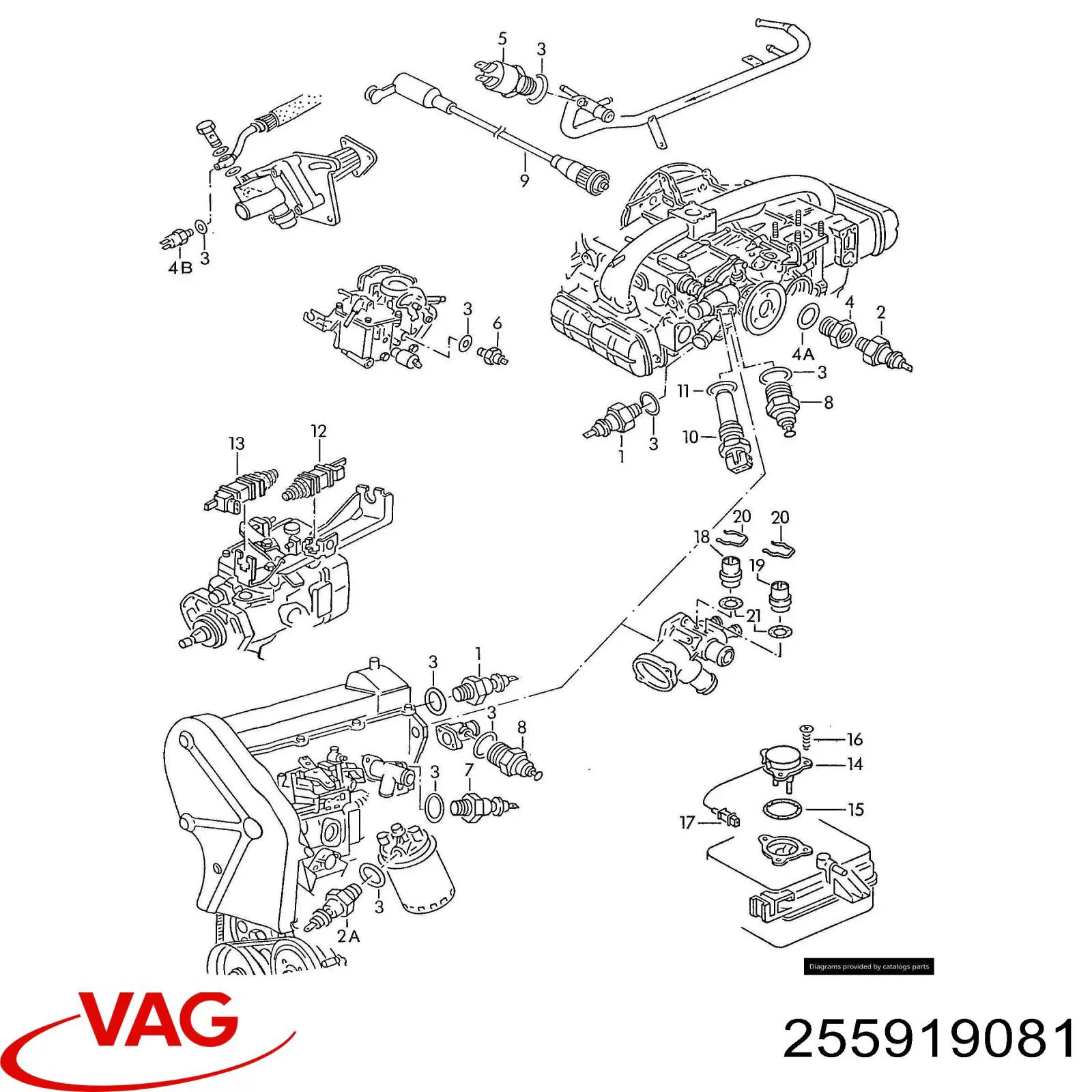255919081 VAG Sensor de pressão de óleo