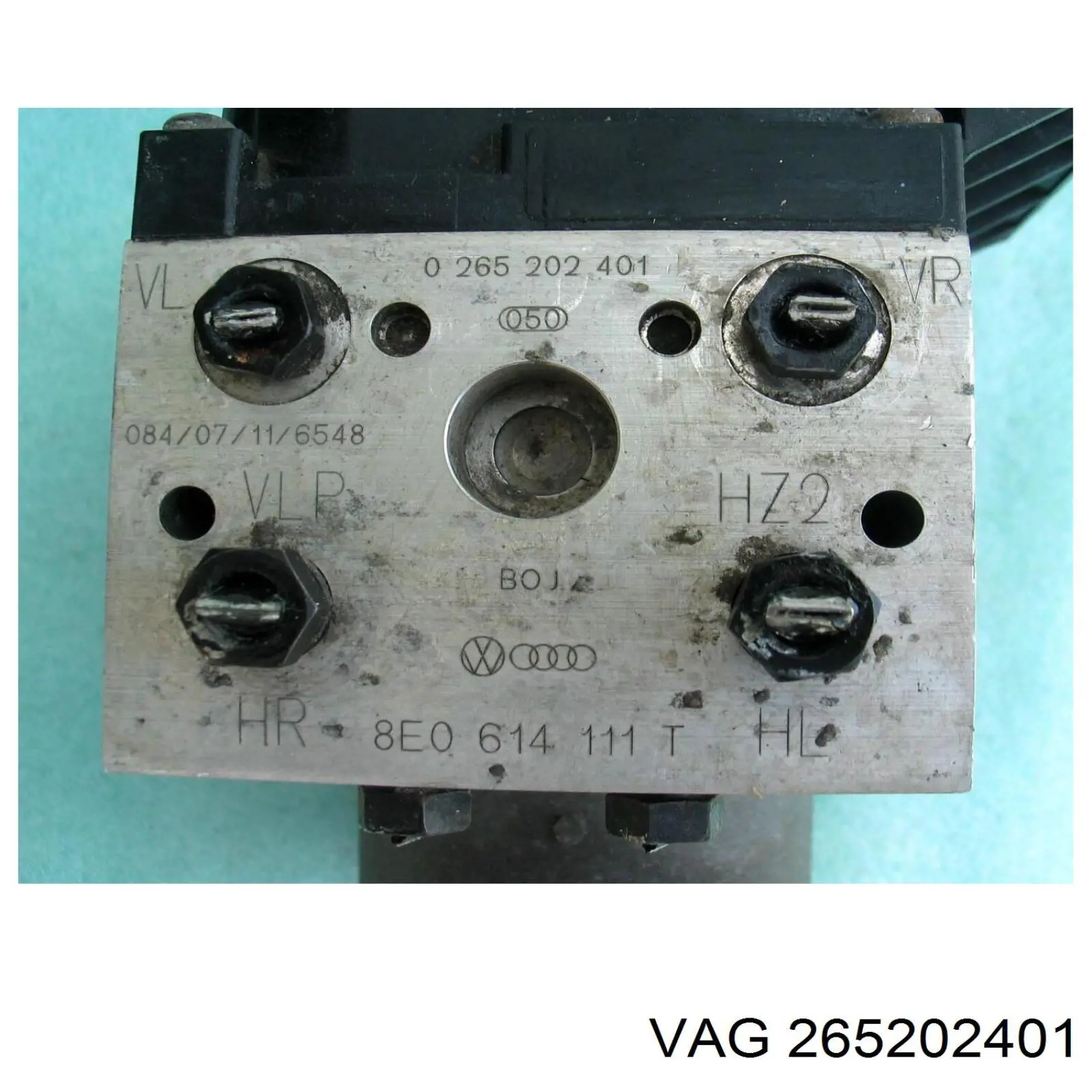 265202401 VAG 
