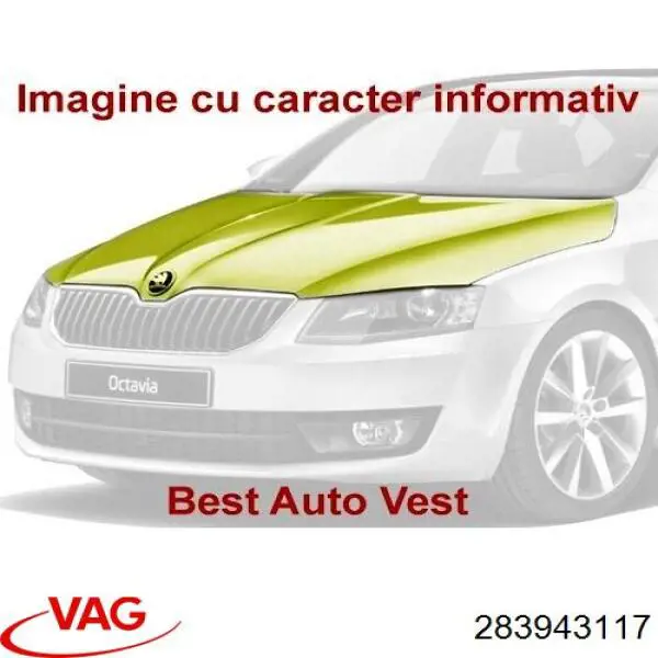 283943117 VAG 