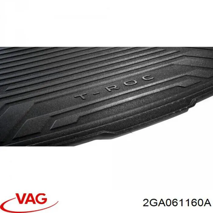 2GA061160A VAG 