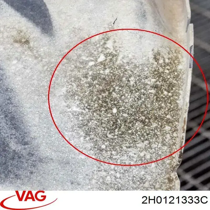 2H0121333C VAG 