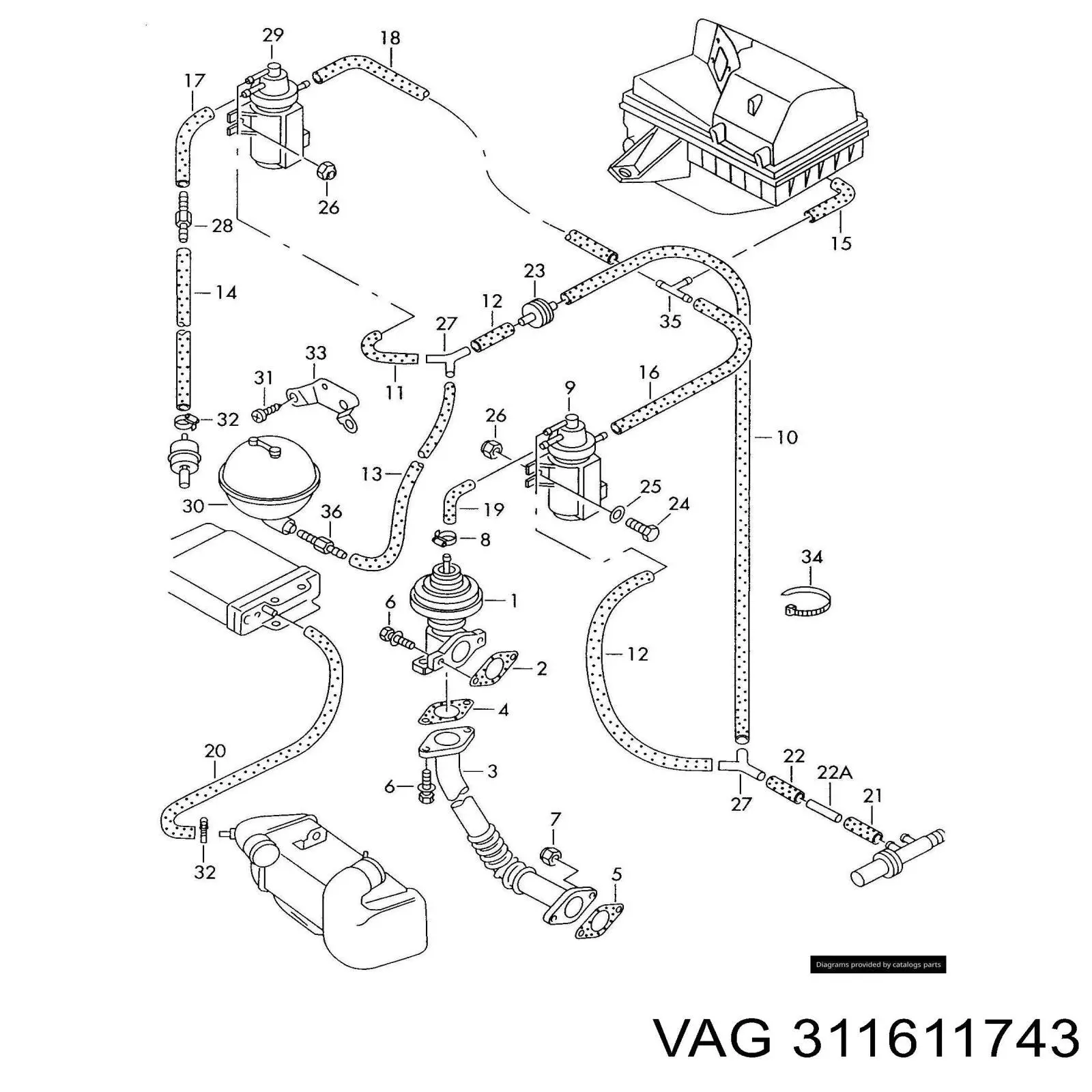 311611743 VAG 