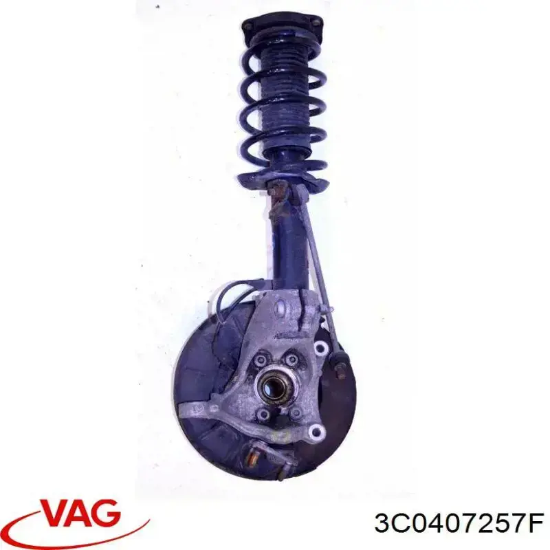 Pino moente (extremidade do eixo) dianteiro esquerdo VAG 3C0407257F preço, a partir de 73,34 USD
