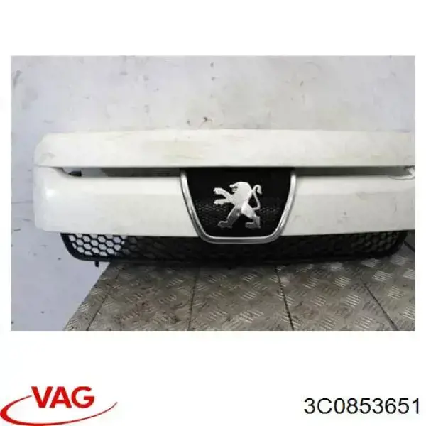 Grelha do radiador 3C0853651 VAG