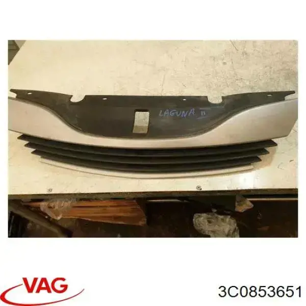 Grelha do radiador 3C0853651 VAG