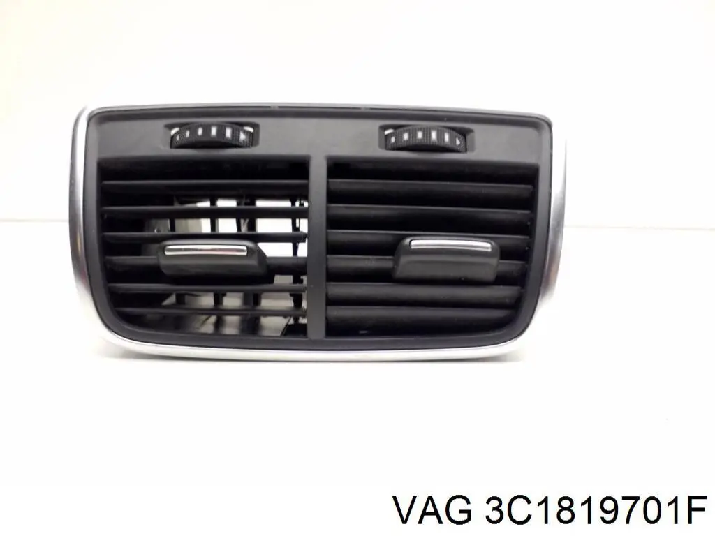 3C1819701F VAG 