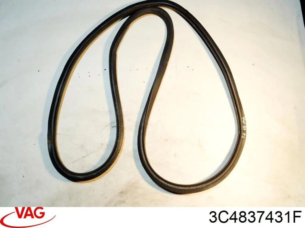 3C4837431F VAG 