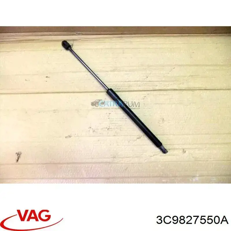 Amortecedor de tampa de porta-malas (de 3ª/5ª porta traseira) VAG 3C9827550A preço, a partir de 17,99 USD