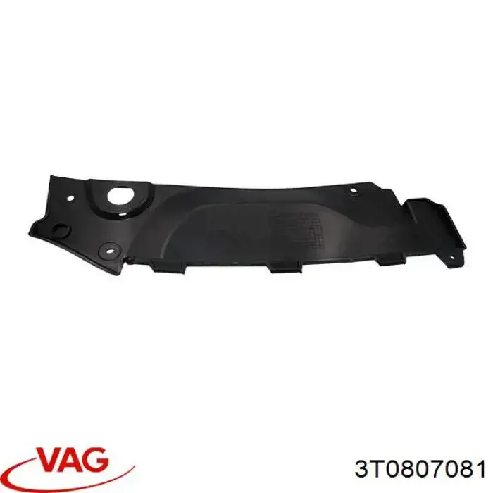 Placa sobreposta superior do painel dianteiro (de suporte do radiador) VAG 3T0807081 preço, a partir de 6,25 USD