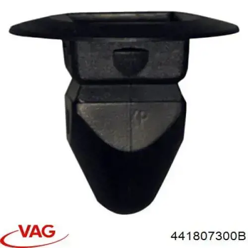 441807300B VAG 