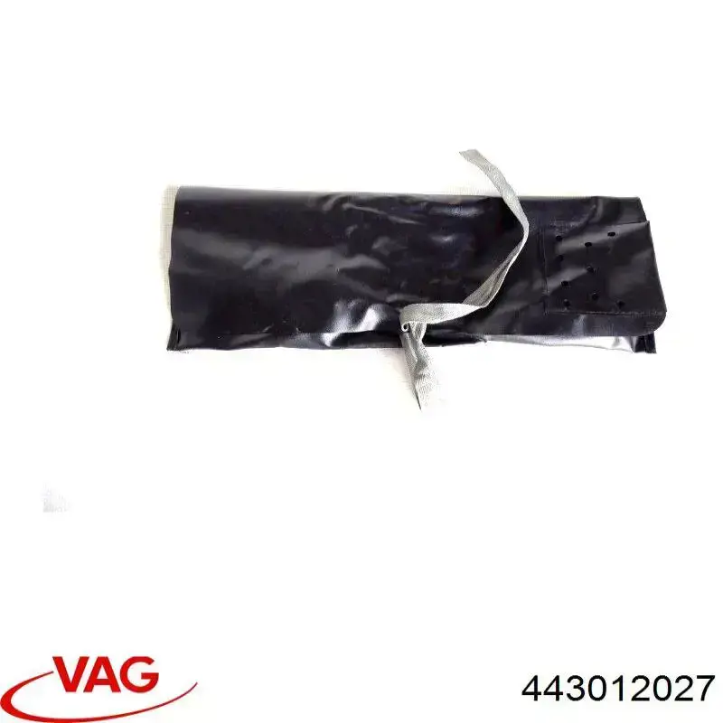 443012027 VAG 