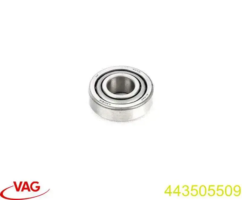 Compre 443505509 VAG Rolamento externo de cubo traseiro