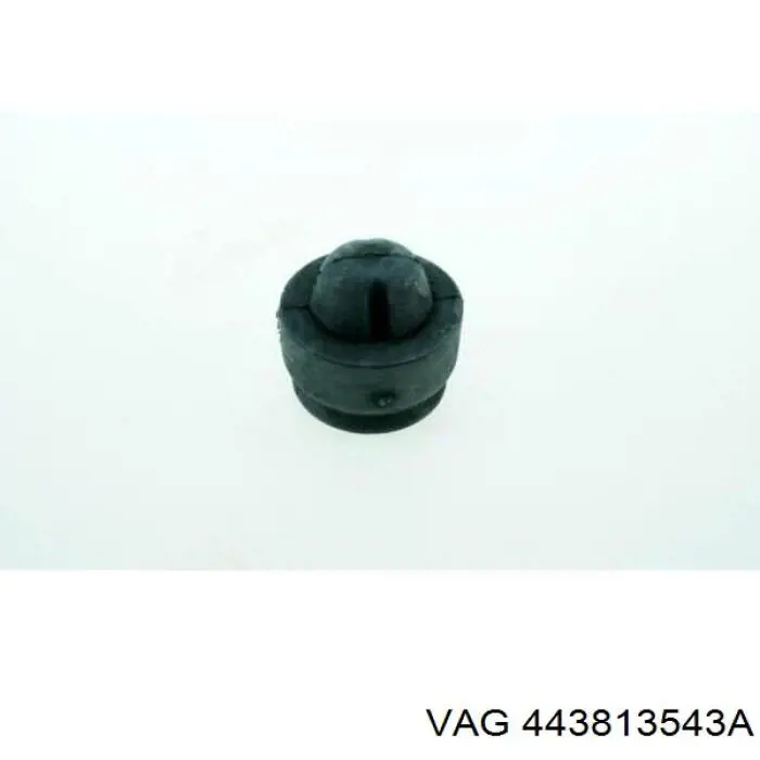 443813543A VAG 