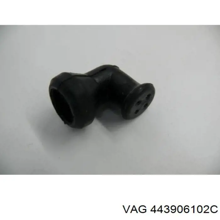 443906102C VAG 