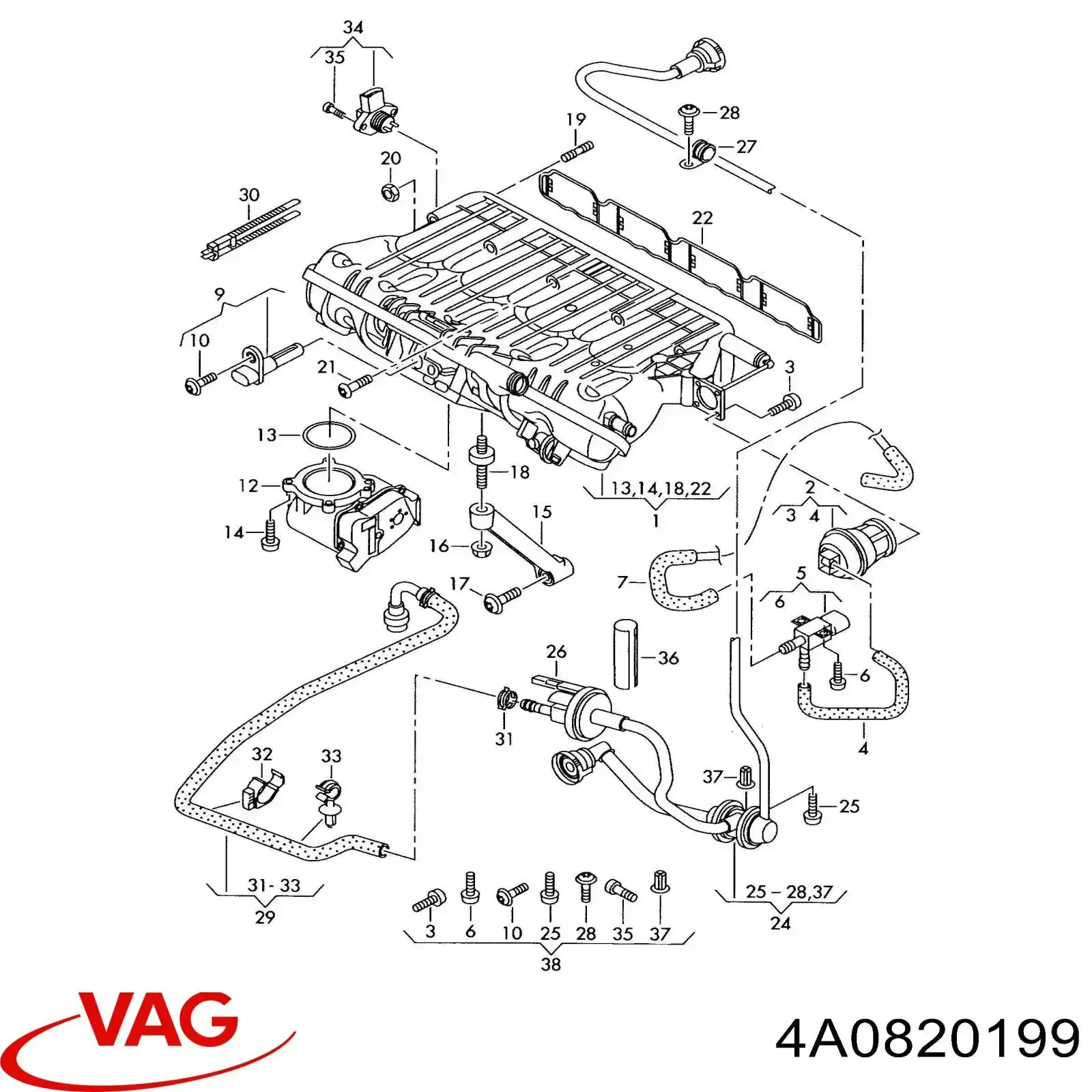 N10458501 VAG 