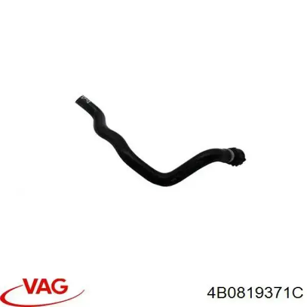 4B0819371C VAG Mangueira (cano derivado) inferior do radiador de esfriamento