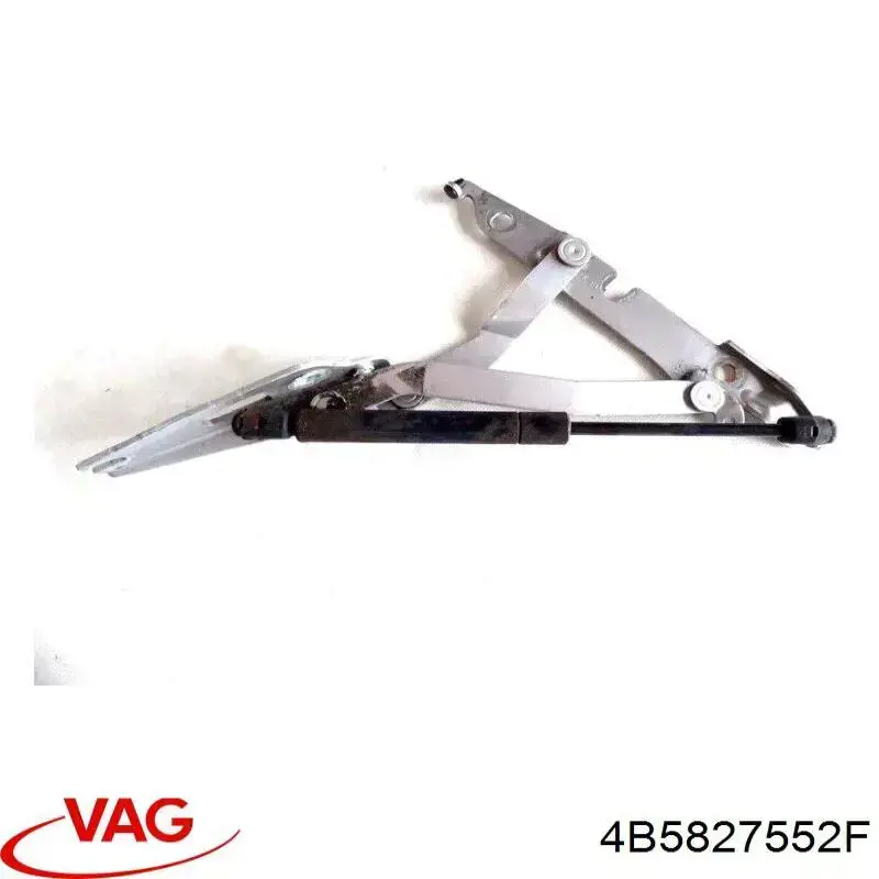 4B5827552F VAG Amortecedor de tampa de porta-malas (de 3ª/5ª porta traseira)