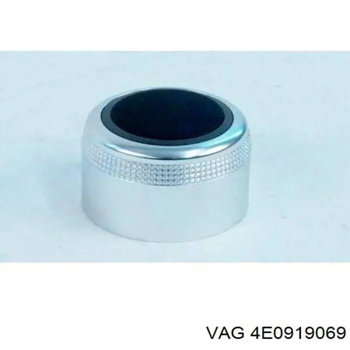 Compre 4E0919069 VAG 