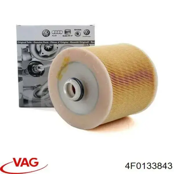 4F0133843 VAG Filtro de ar