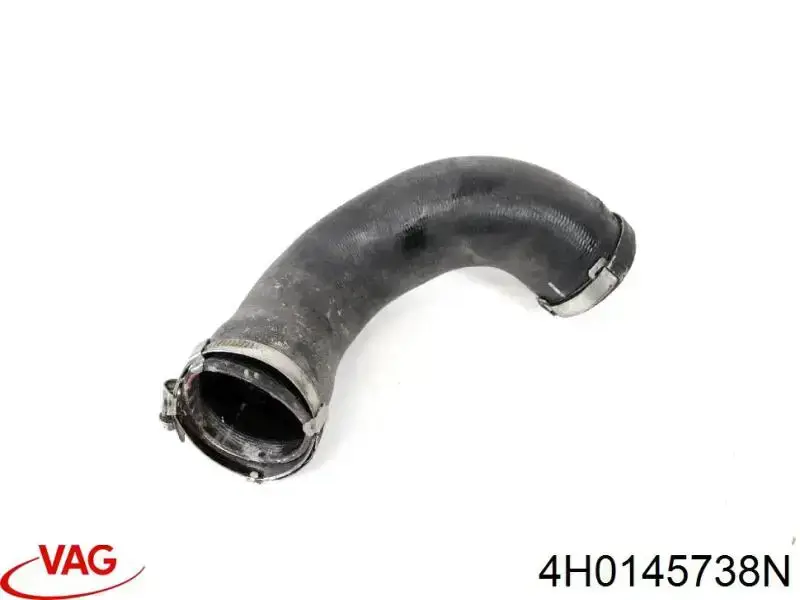 4H0145738N VAG 