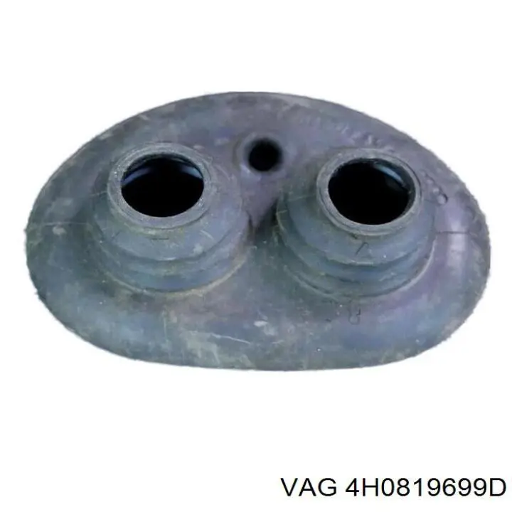 4H0819699D VAG 