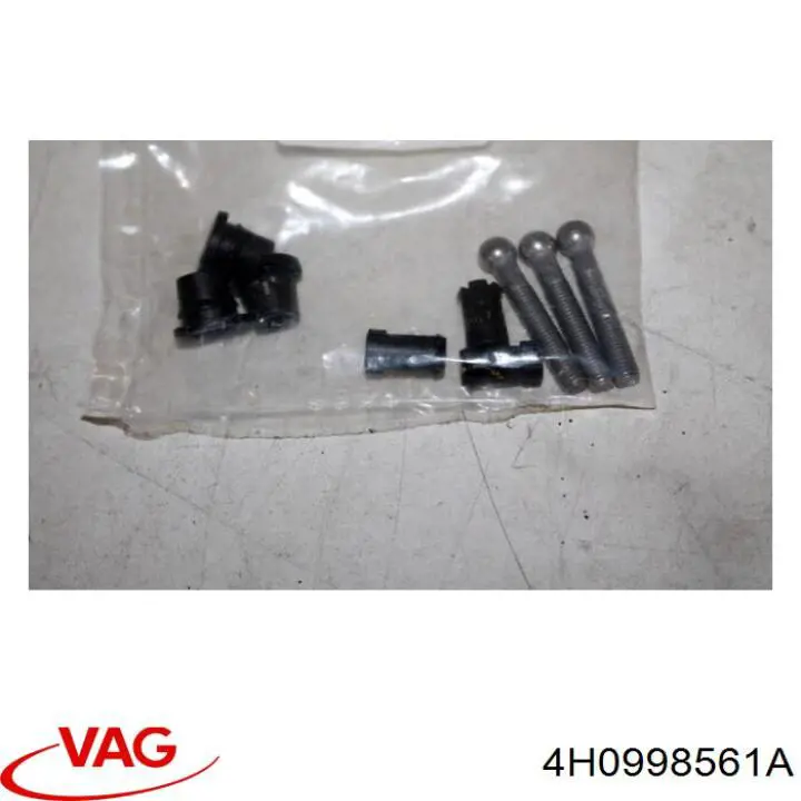 4H0998561A VAG 