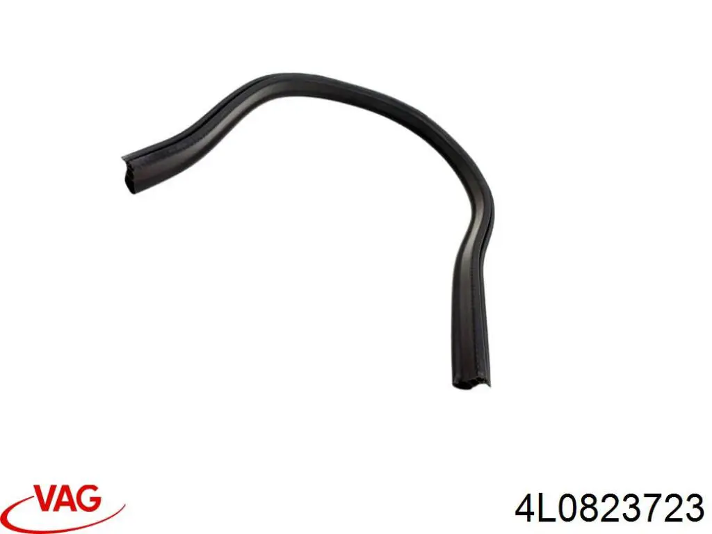 4L0823723 VAG 